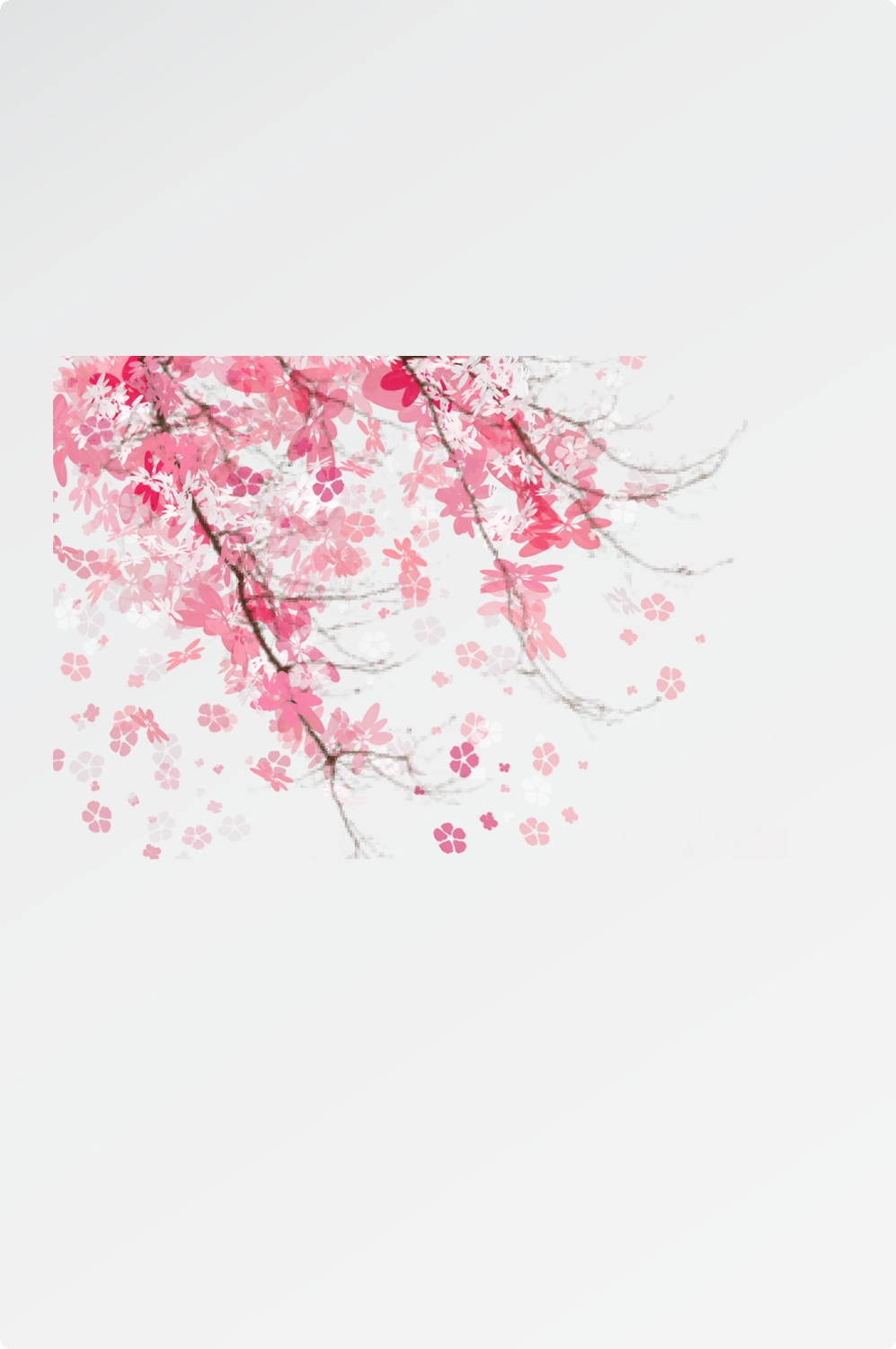 唯美樱花花树花枝樱花飘落图片装饰插图免抠44