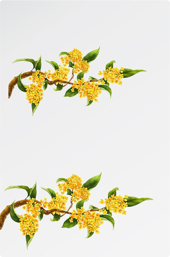 卡通手绘桂花花枝图案素材元素10