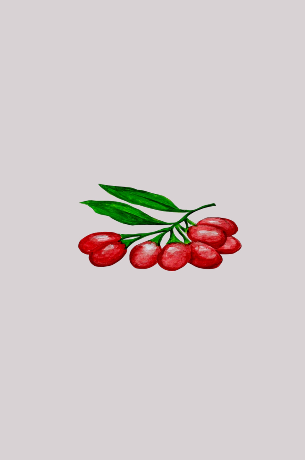 卡通手绘红枣图片素材装饰元素插画 png透明背景 (85)