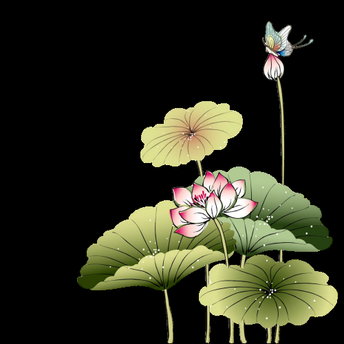 荷叶荷花素材插画装饰元素透明背景免抠素材42