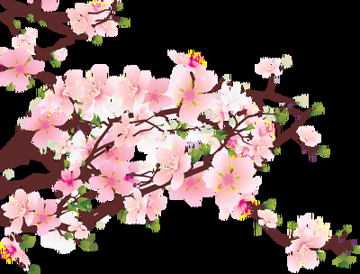 唯美樱花花树花枝樱花飘落图片装饰插图免抠13
