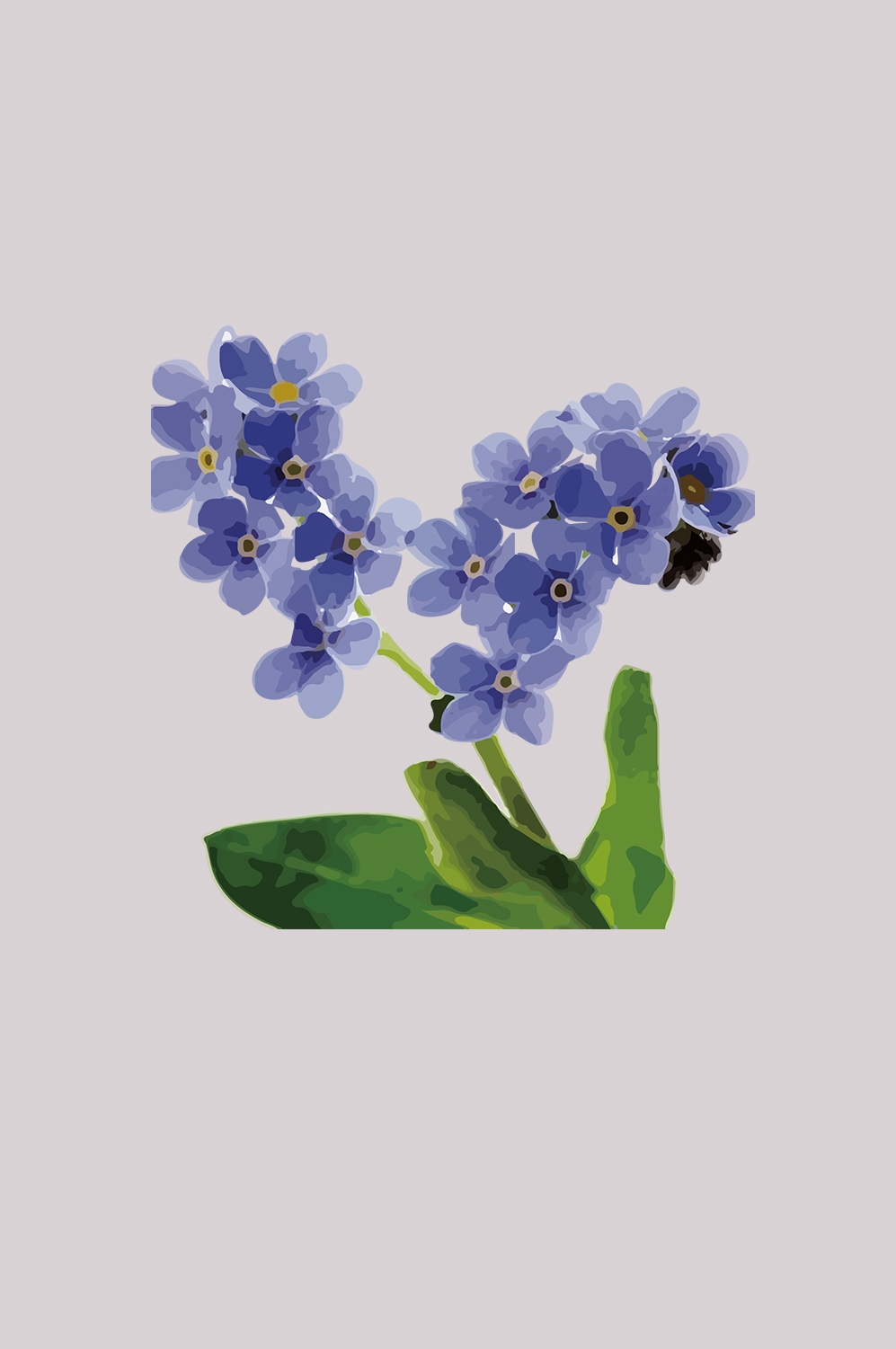手绘淡雅玉兰花枝花朵装饰元素插图免抠素材50