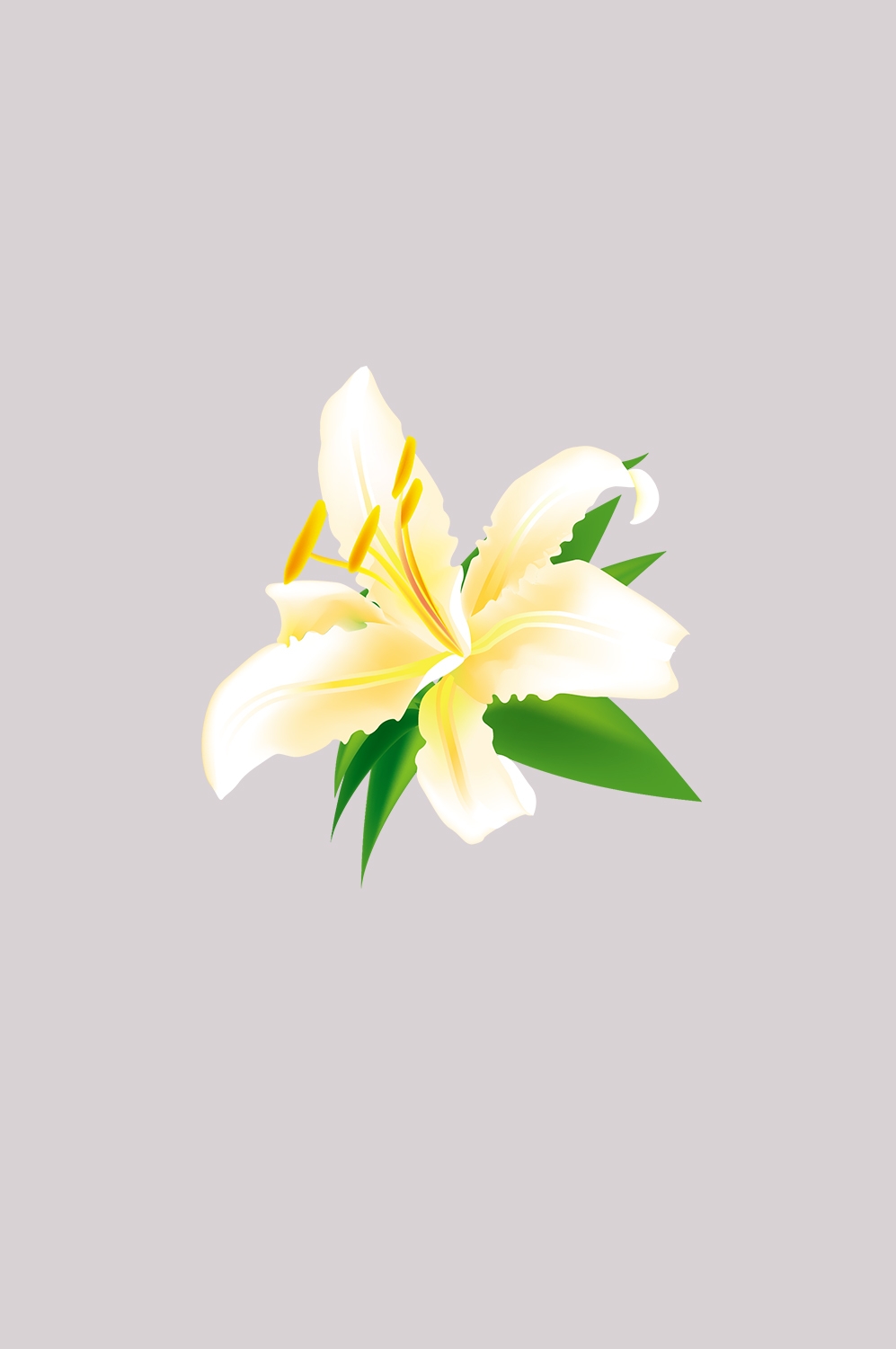 百合花免抠素材6