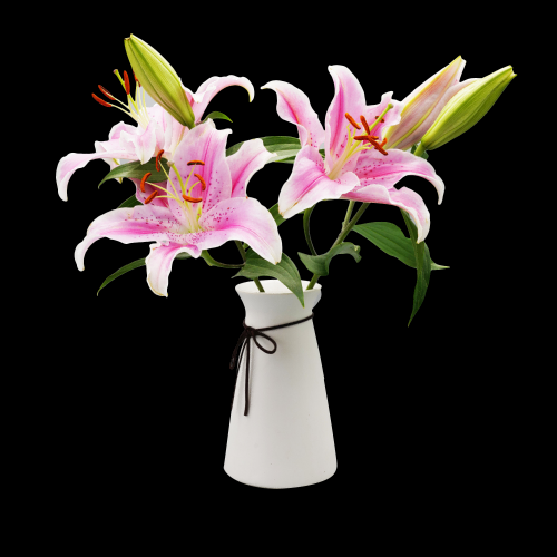 花瓶花艺装饰元素免抠素材4