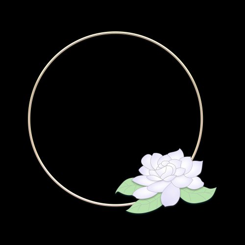 清新淡雅栀子花朵图片素材免抠元素15