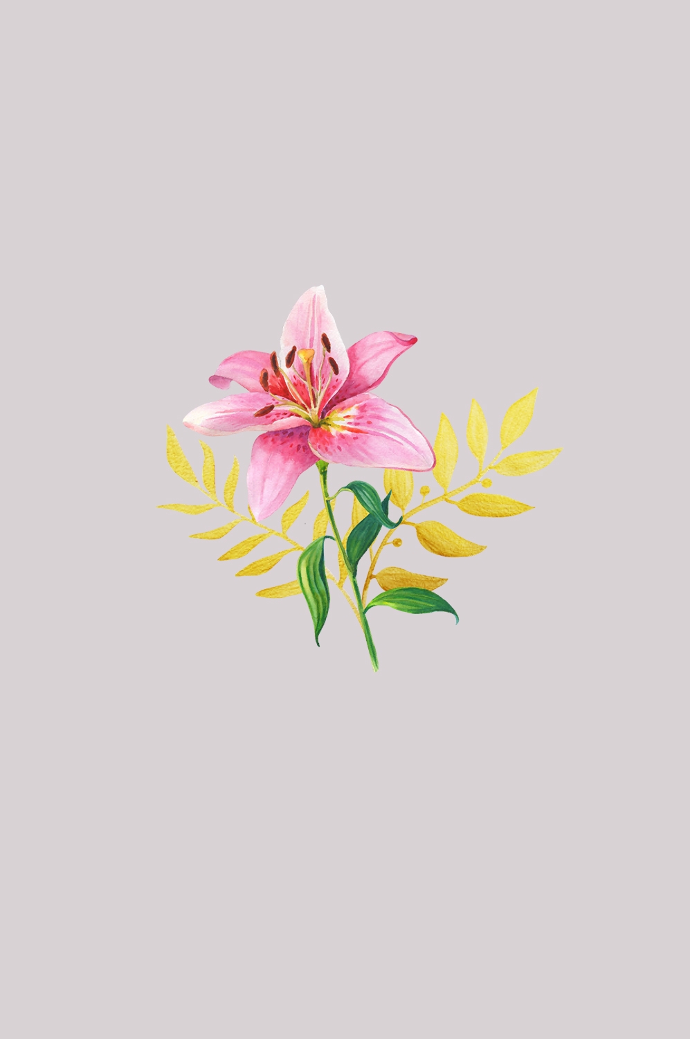 百合花免抠素材24