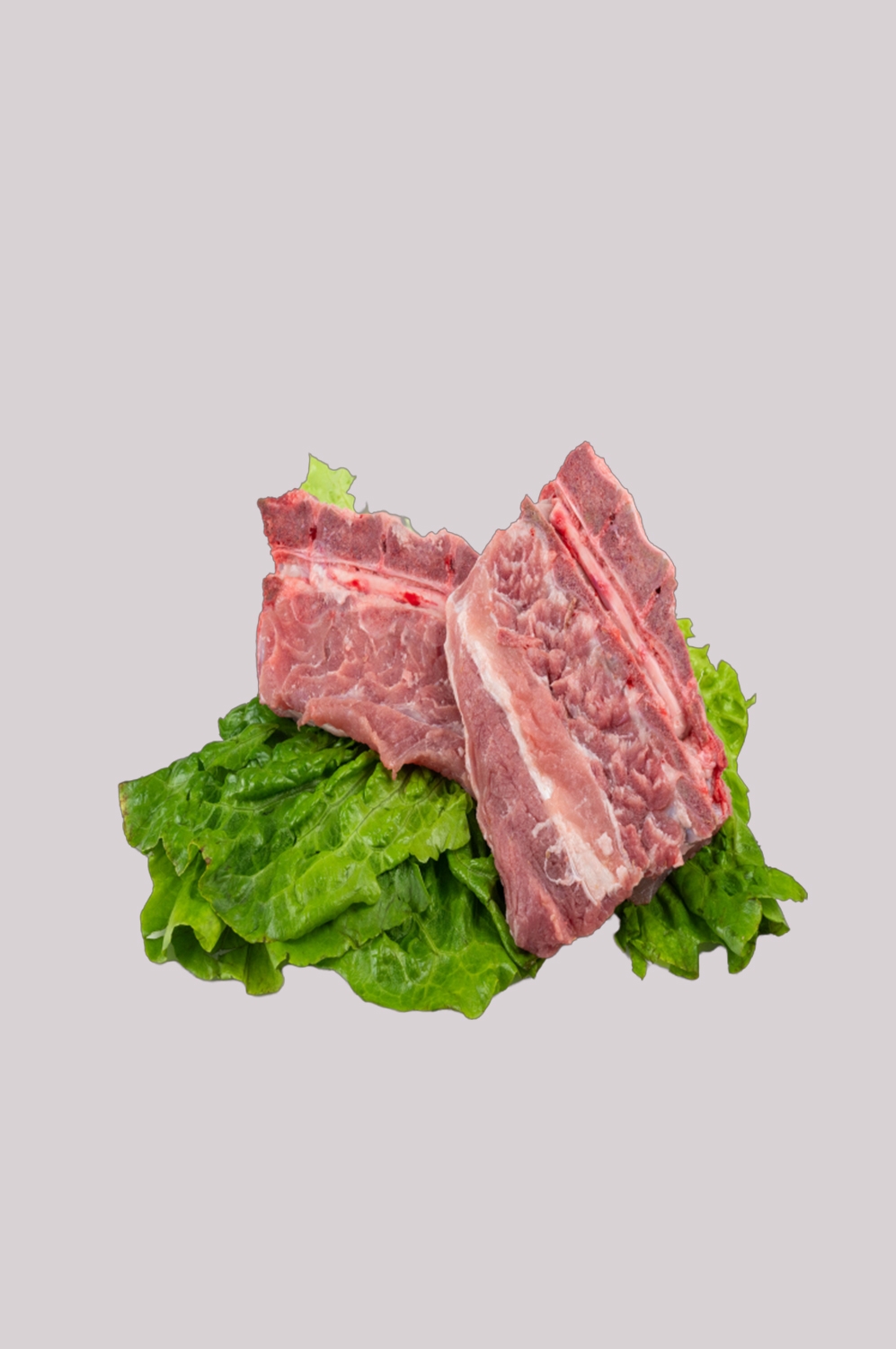 猪肉五花肉瘦肉排骨插画元素免抠素材27