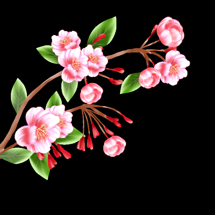 海棠花免抠元素装饰图案插画9