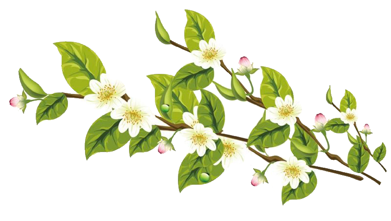 卡通手绘桂花花枝图案素材元素54