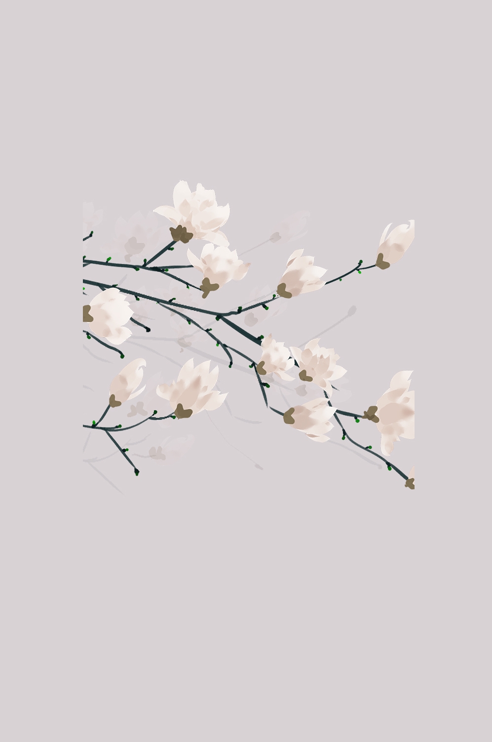 手绘淡雅玉兰花枝花朵装饰元素插图免抠素材30