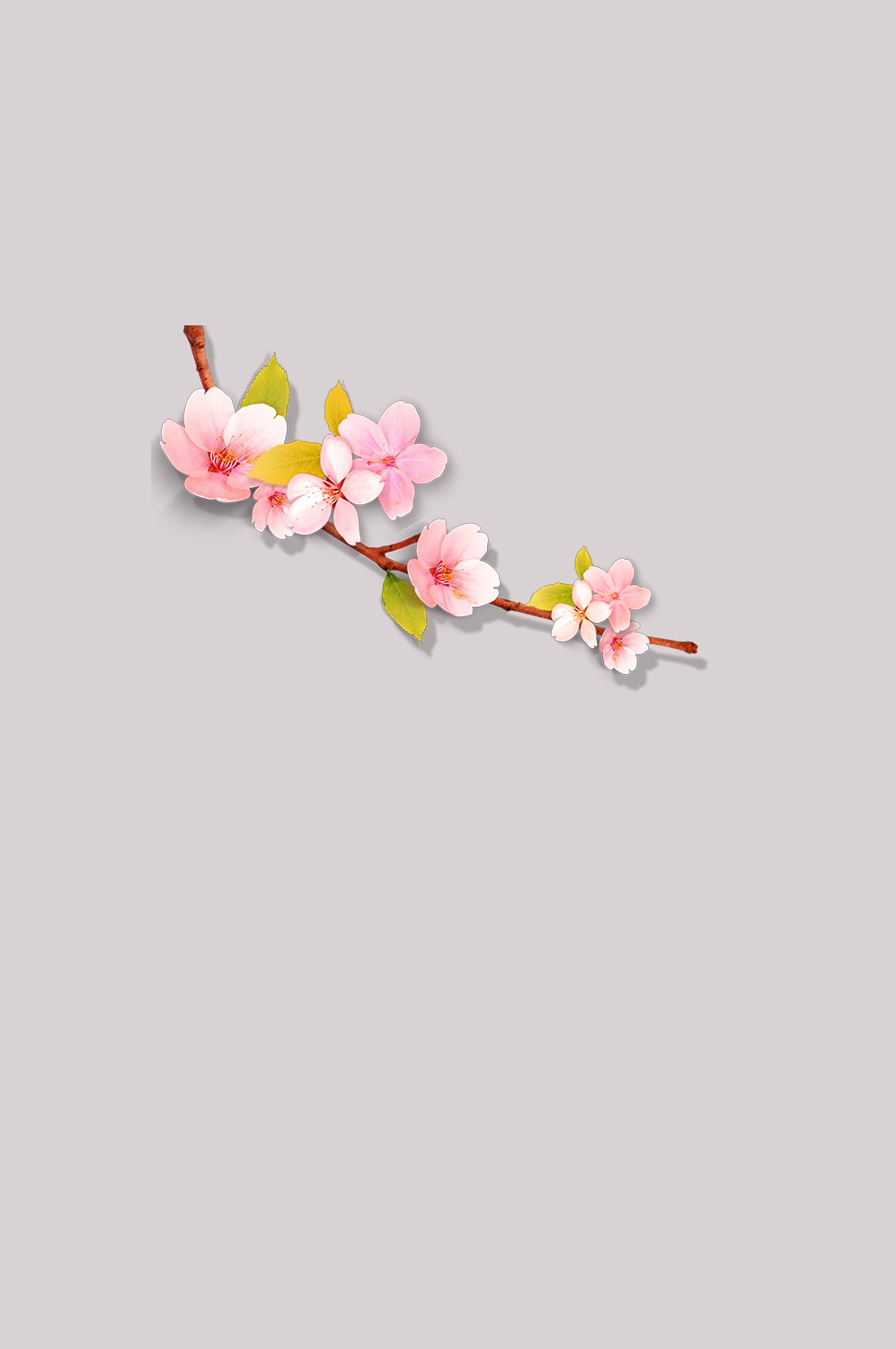 桃花素材图中国风海报设计桃树花枝透明背景19