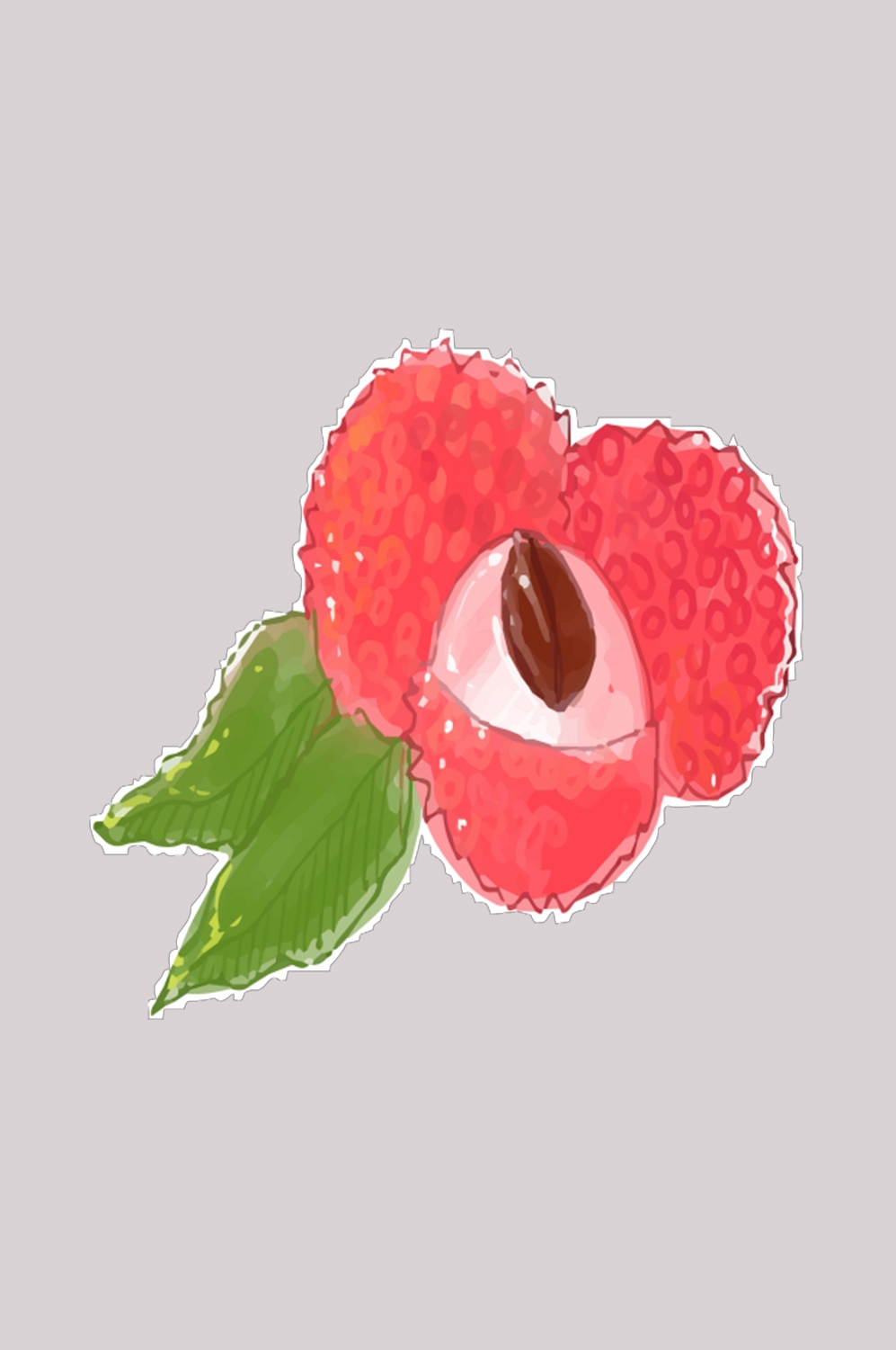 手绘荔枝图片素材装饰元素插画 png透明背景 (73)