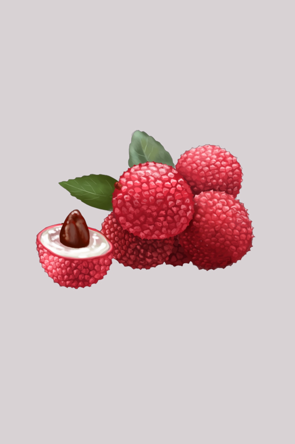 手绘荔枝图片素材装饰元素插画 png透明背景 (30)