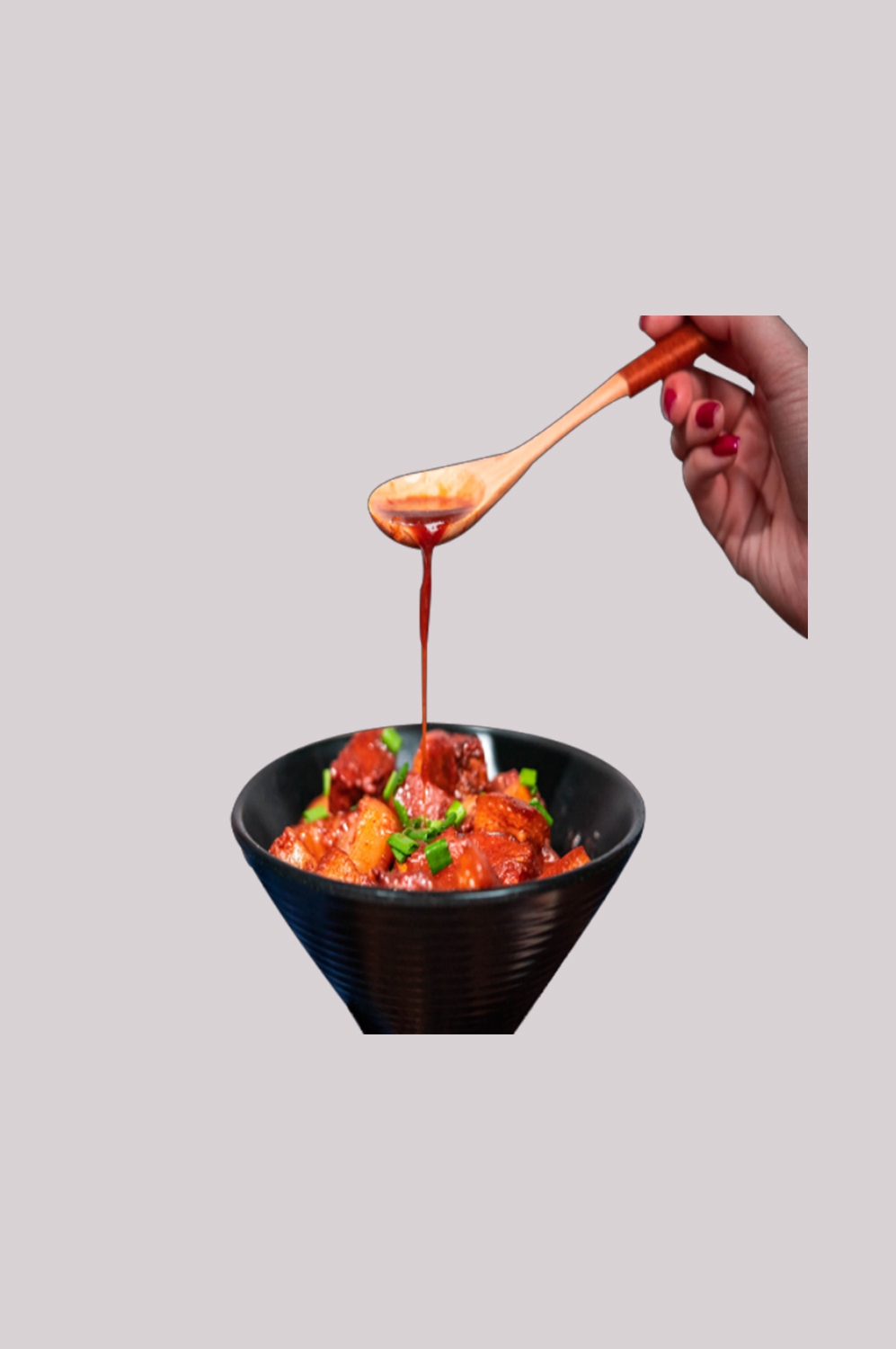 美食红烧肉图片红烧肉盖饭插图元素7