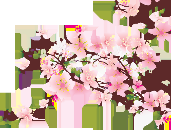 唯美樱花花树花枝樱花飘落图片装饰插图免抠18