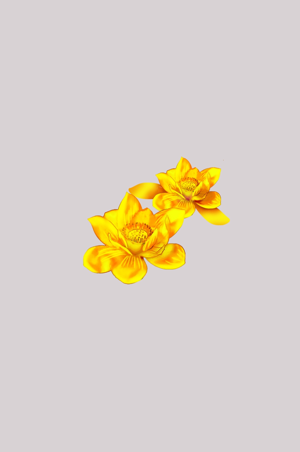 金色莲花装饰元素免抠素材35