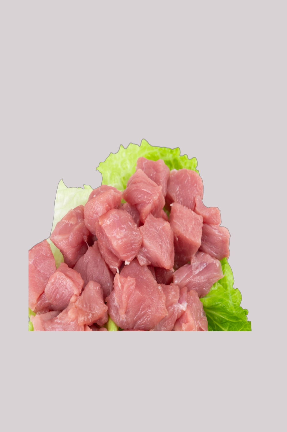 猪肉五花肉瘦肉排骨插画元素免抠素材35