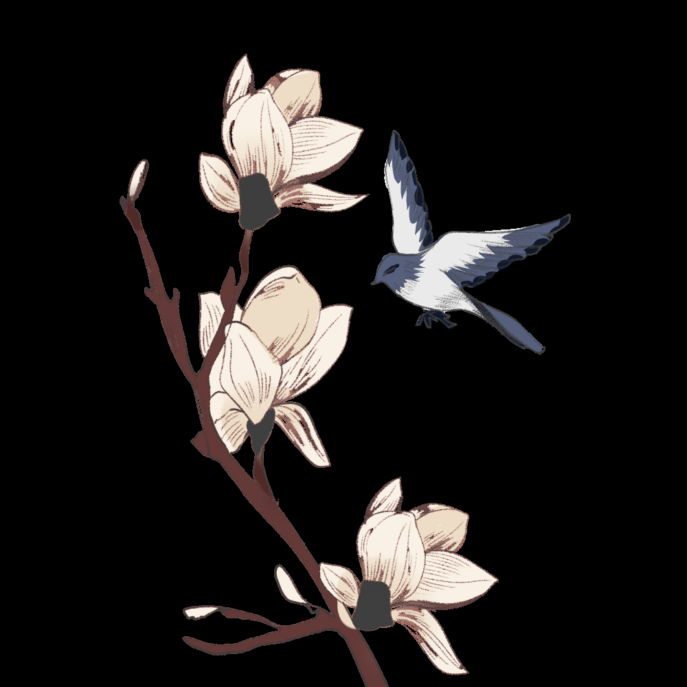 水彩手绘小鸟树枝花枝上的小鸟插画素材免抠14