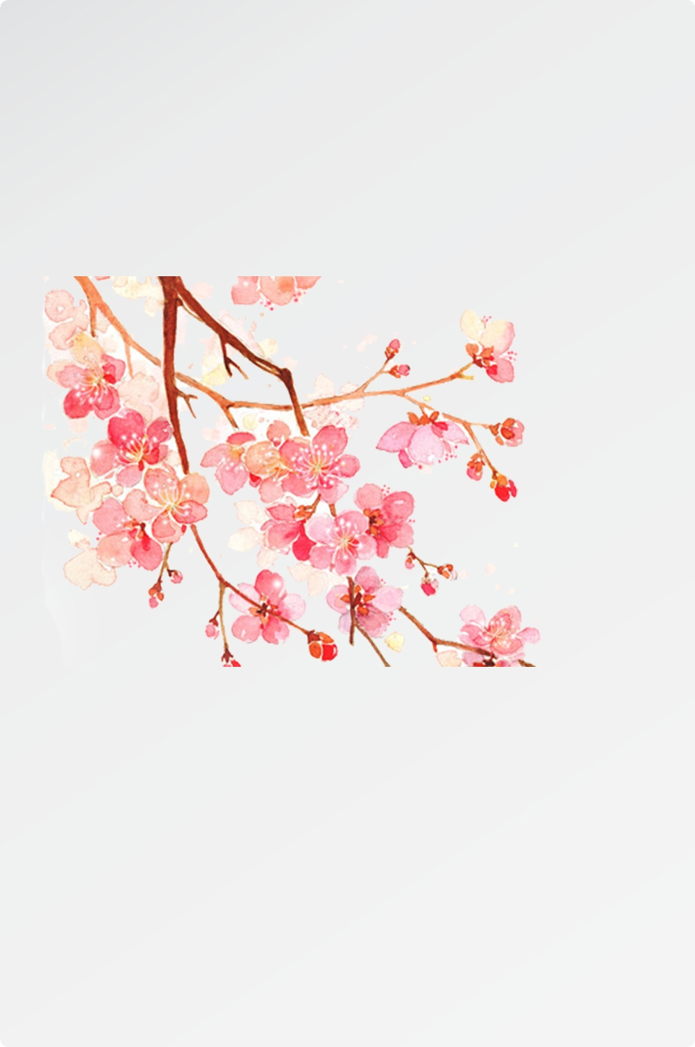 唯美樱花花树花枝樱花飘落图片装饰插图免抠16