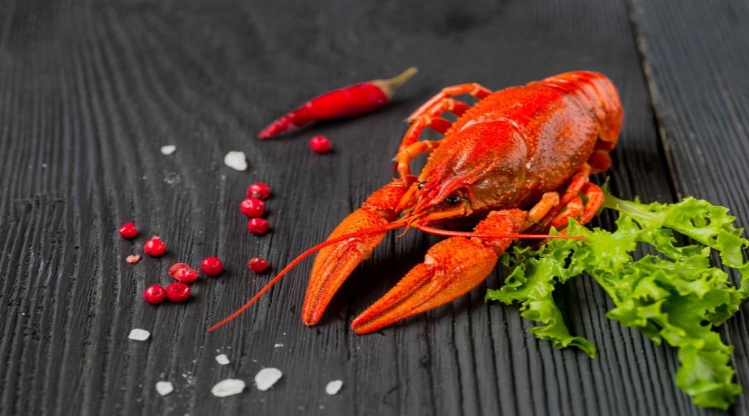餐饮美食海报模板麻辣小龙虾香辣虾促销宣传广告素材 (37)