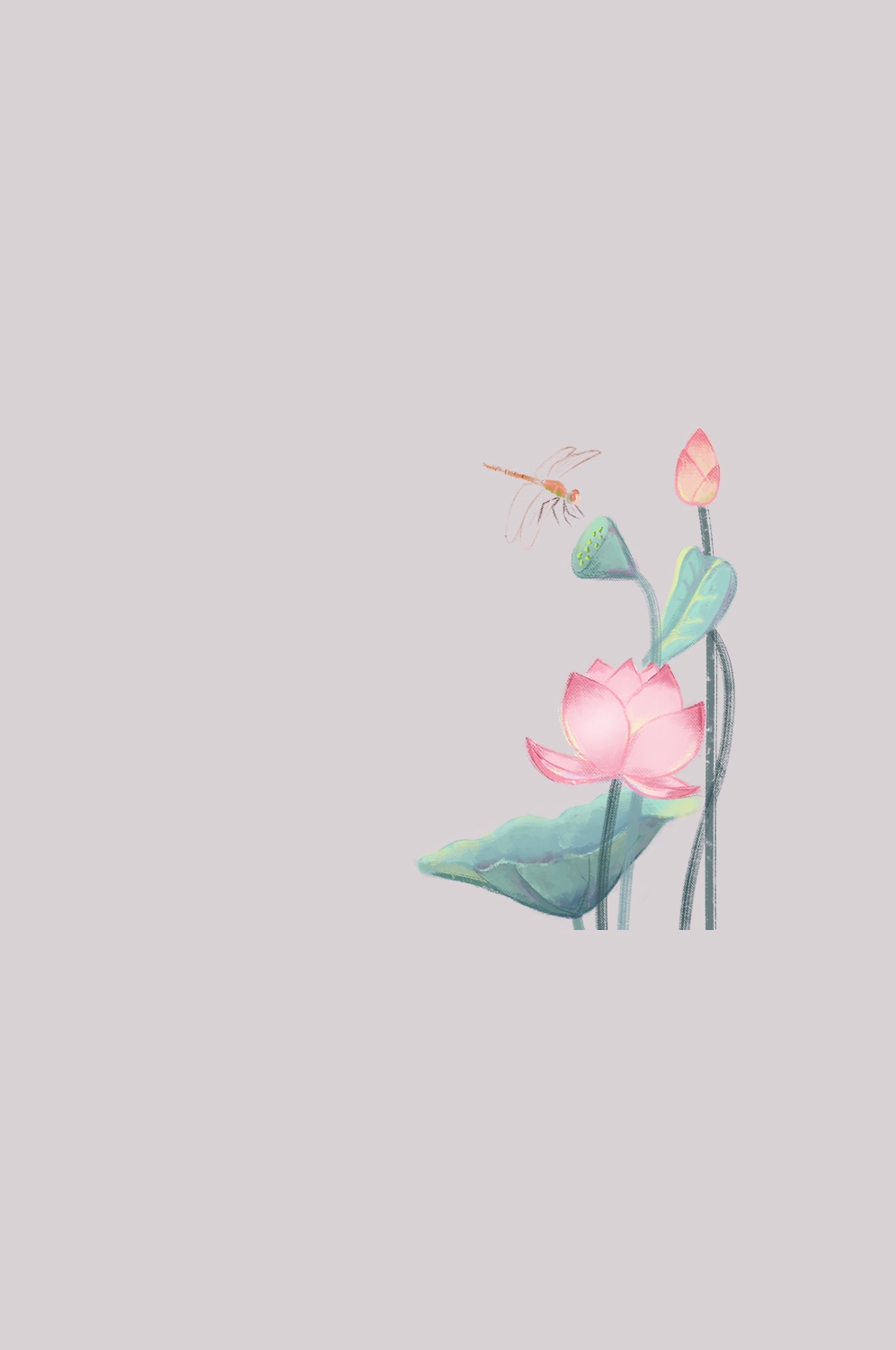 荷叶荷花素材插画装饰元素透明背景免抠素材4