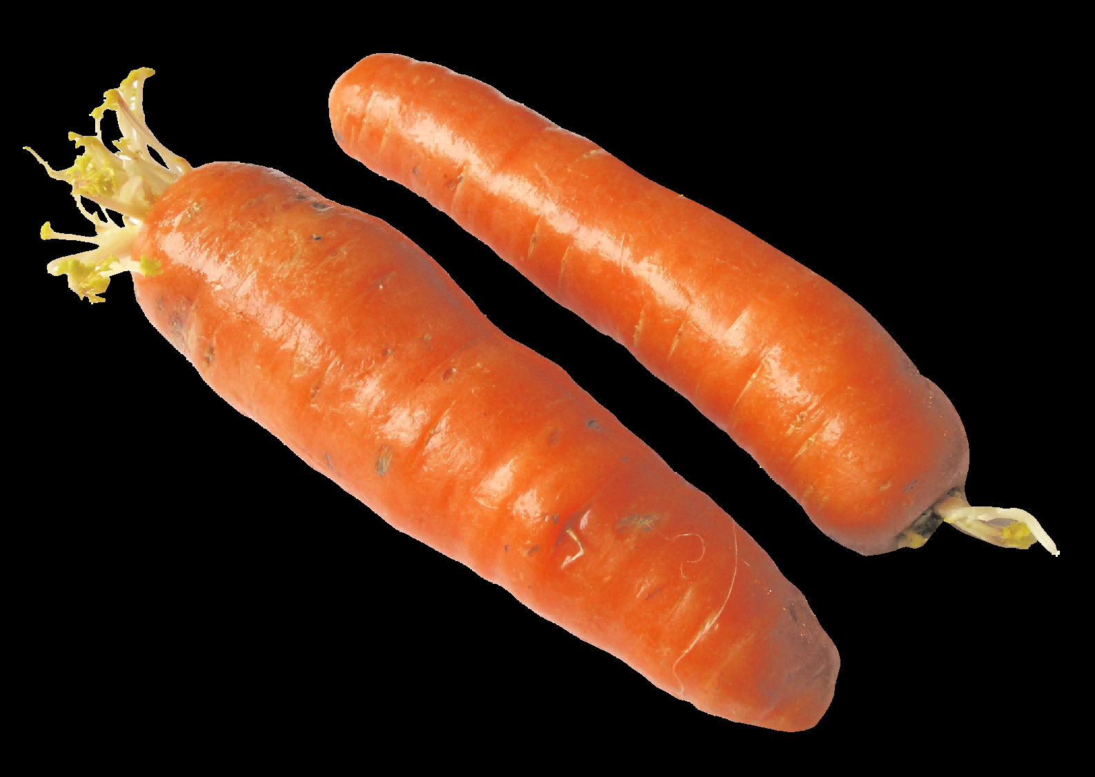 蔬菜食材切开的胡萝卜免抠元素22