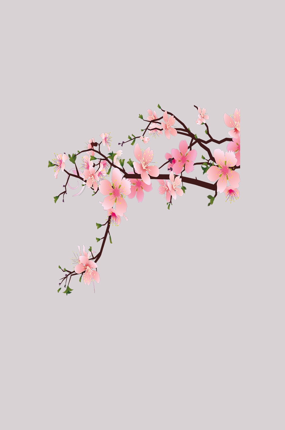 桃花素材图中国风海报设计桃树花枝透明背景43