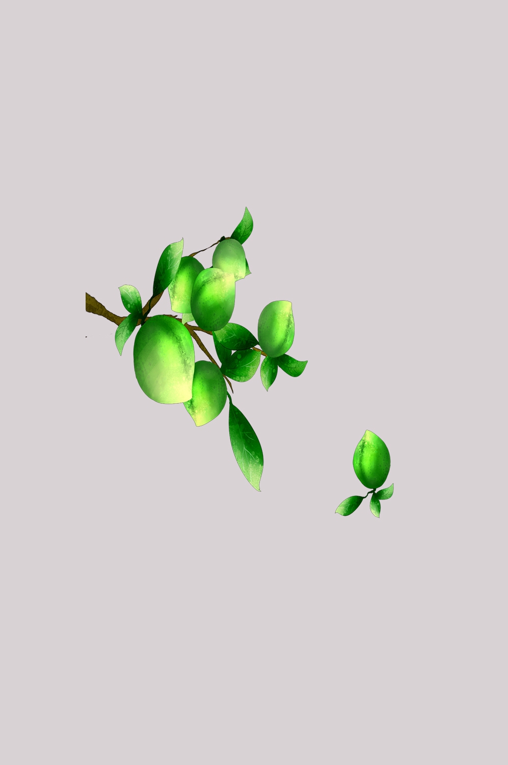 卡通手绘水果青梅图案素材图片装饰插画免抠101