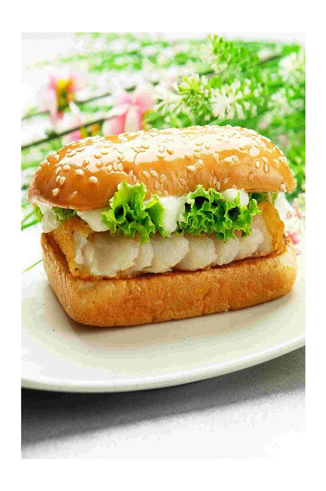 高清美食菜品菜谱汉堡美工设计素材 (73)