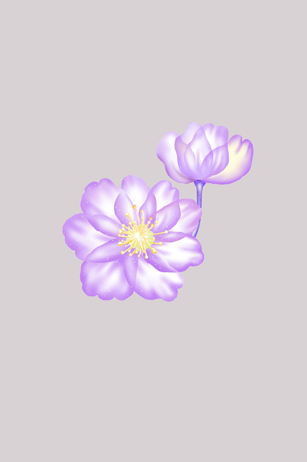 海棠花免抠元素装饰图案插画39