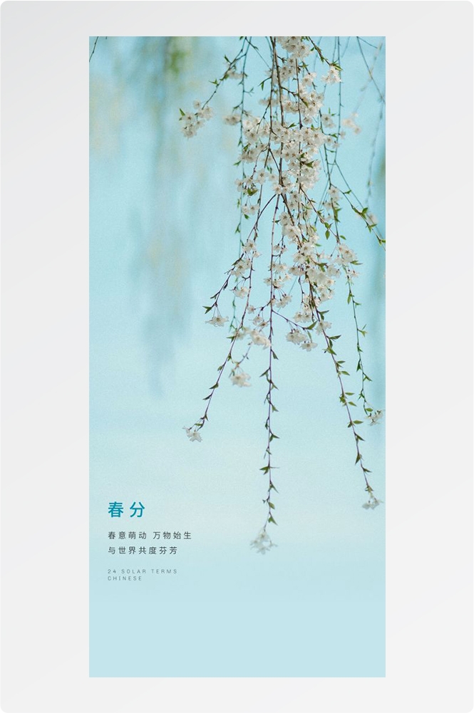 春分时令节气节日促销宣传插画背景海报11