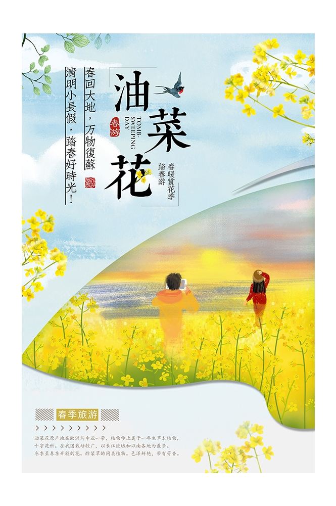 旅游观光PSD海报模板油菜花农田菜地促销宣传单展板 (2)