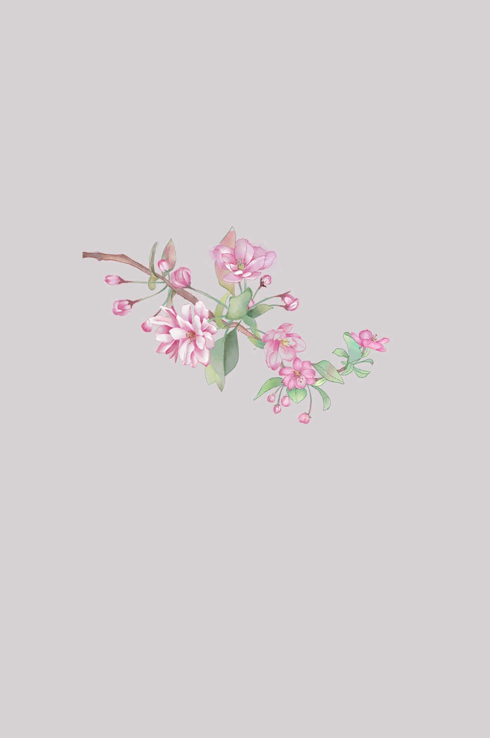 海棠花免抠元素装饰图案插画12
