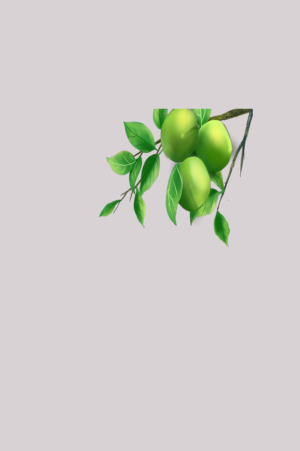 卡通手绘水果青梅图案素材图片装饰插画免抠98