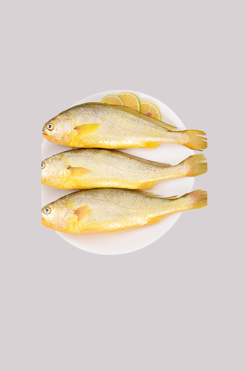 海鲜食材带鱼黄鱼素材图片元素插图免抠31