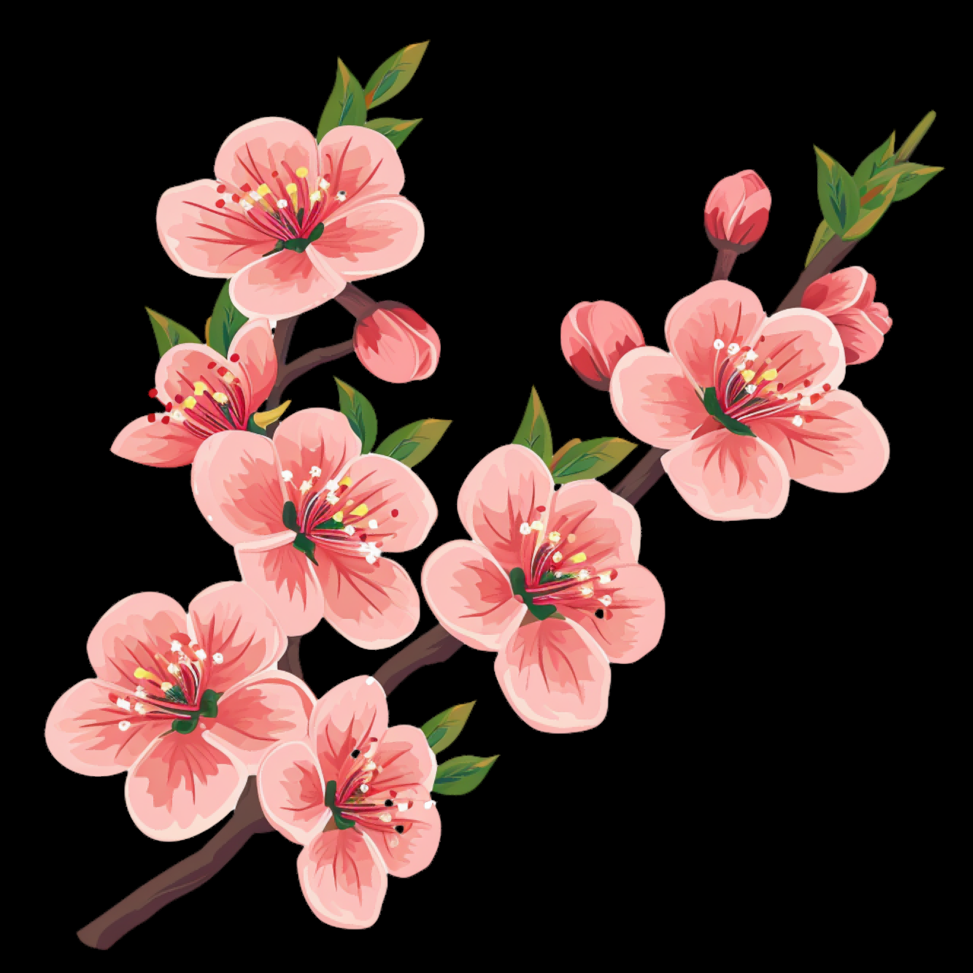 桃花素材图中国风海报设计桃树花枝透明背景79