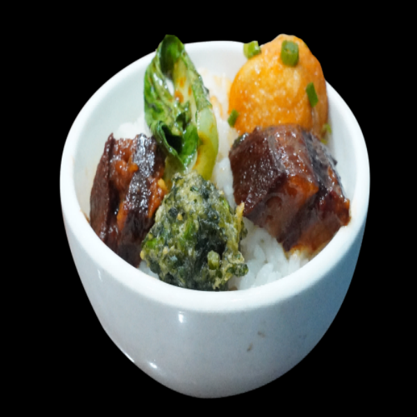 美食红烧肉图片红烧肉盖饭插图元素45