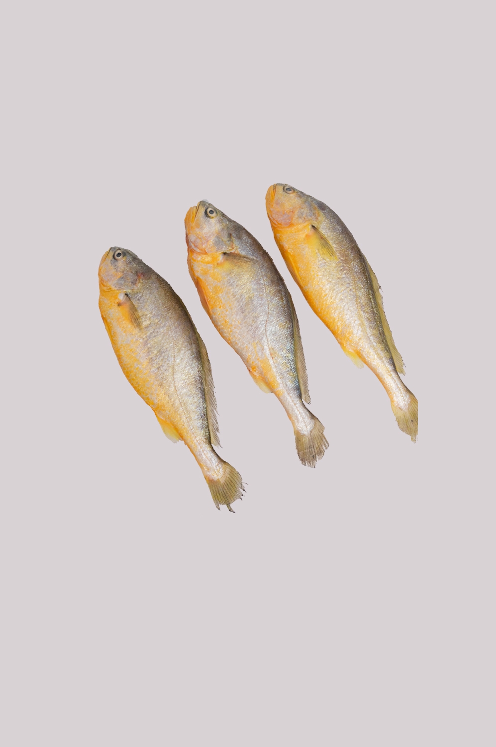 海鲜食材带鱼黄鱼素材图片元素插图免抠58