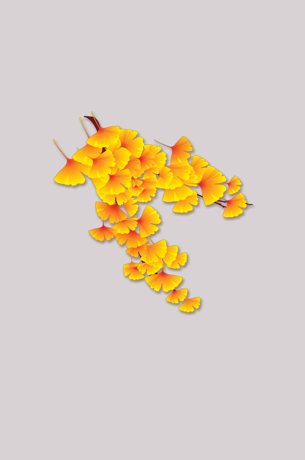 银杏叶树枝插画装饰元素免抠素材40