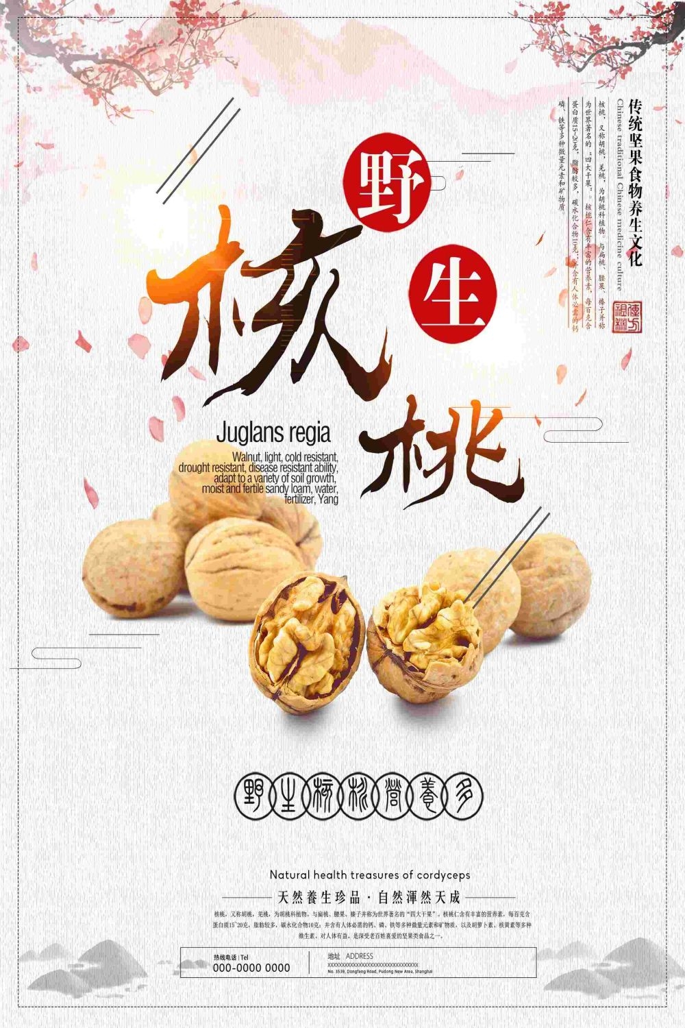 餐饮美食海报背景核桃核桃粉干果促销宣传单17