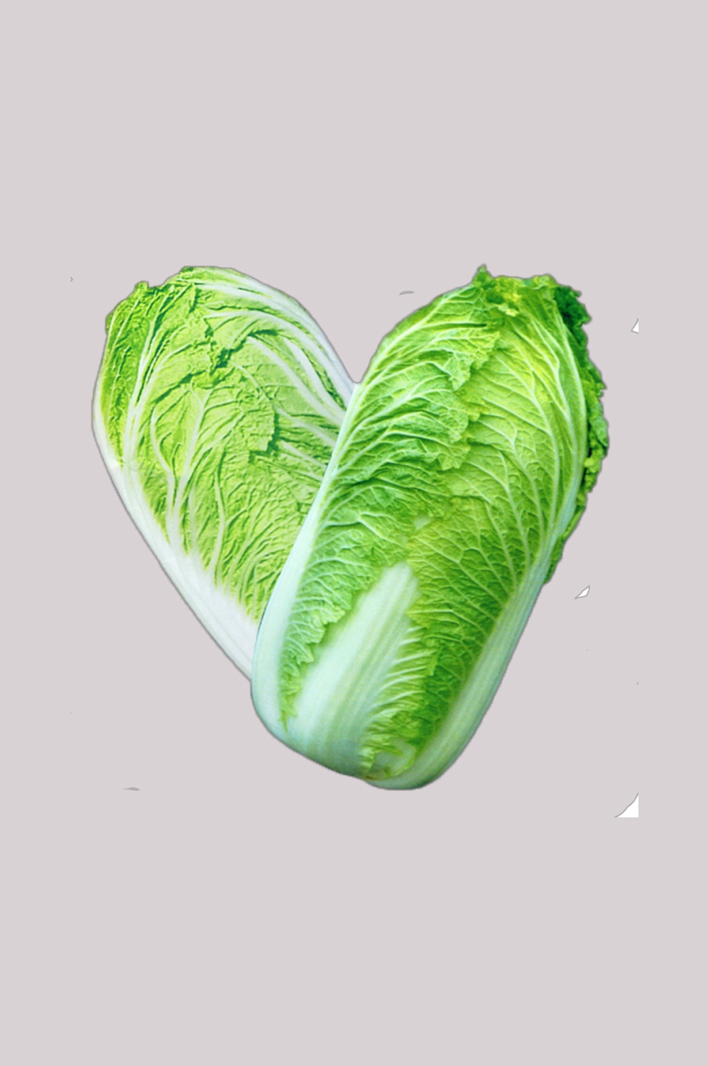 蔬菜白菜图片实拍图素材 png透明背景 (6)
