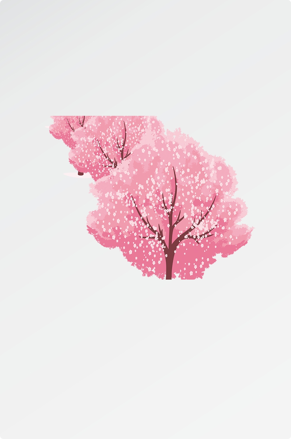 唯美樱花花树花枝樱花飘落图片装饰插图免抠36