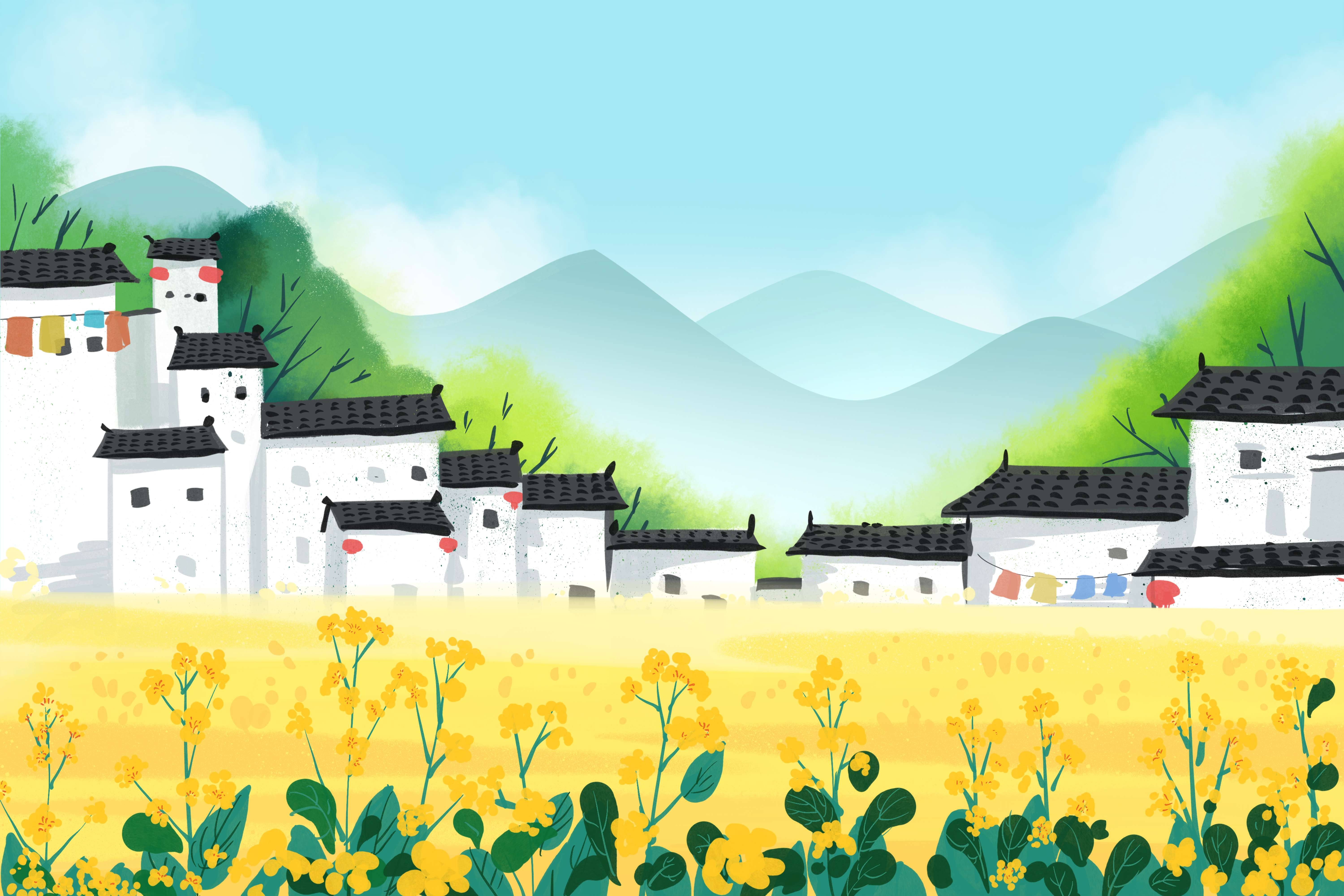 油菜花开田野风景背景插画图片banner海报12