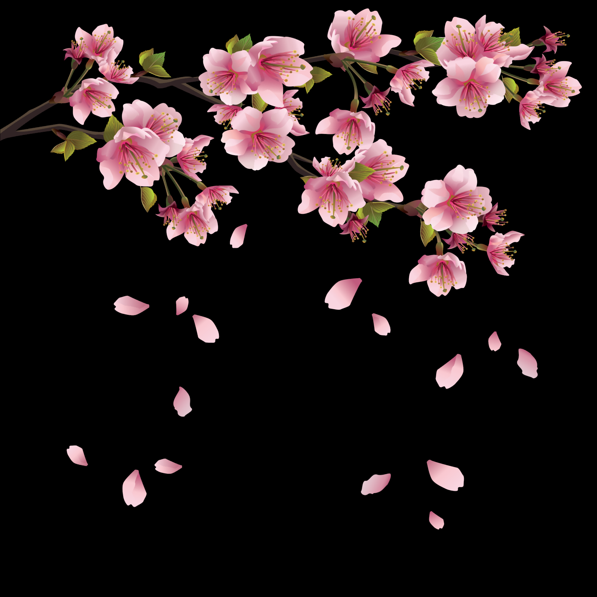 桃花素材图中国风海报设计桃树花枝透明背景65
