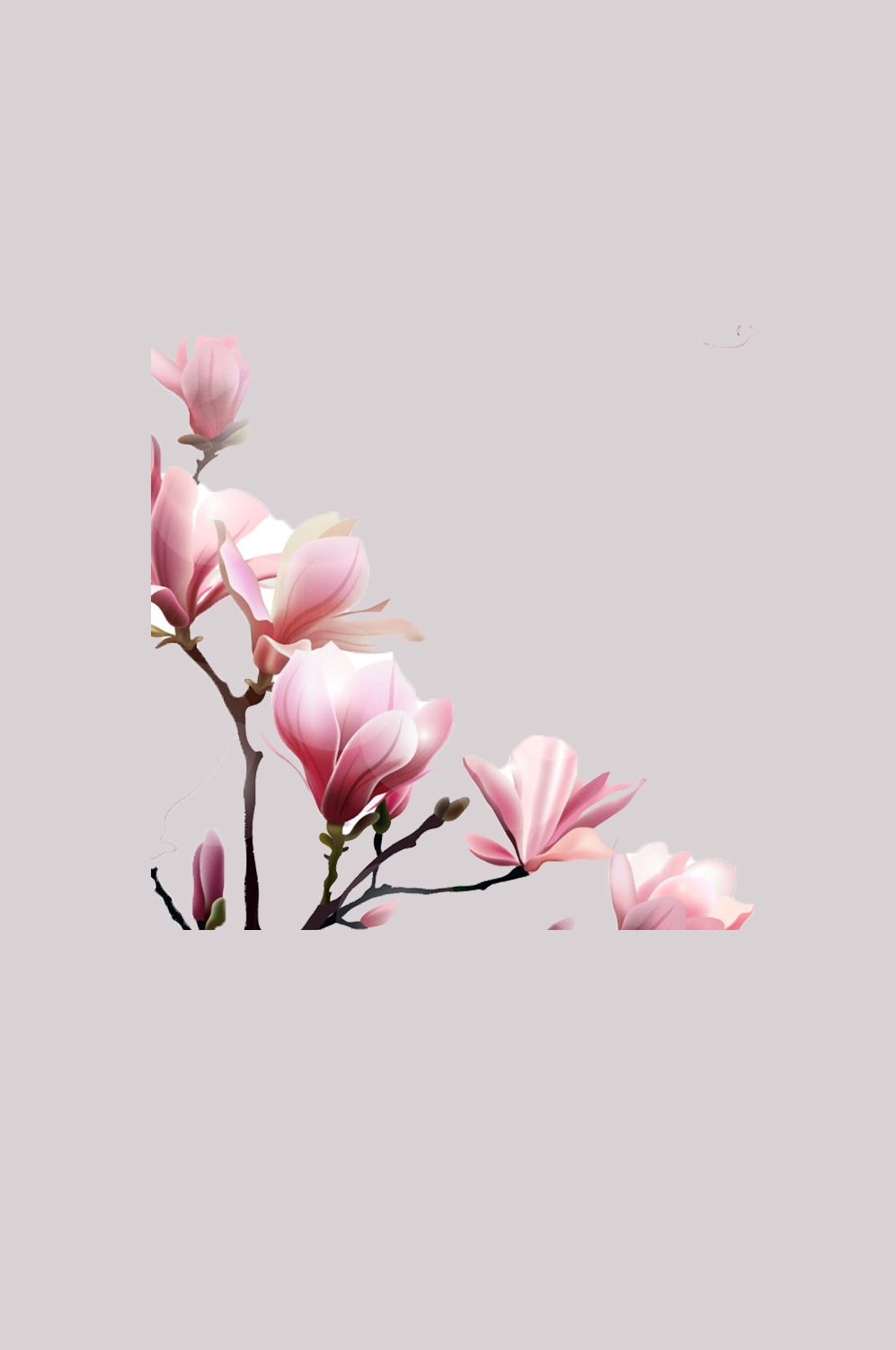 手绘淡雅玉兰花枝花朵装饰元素插图免抠素材36