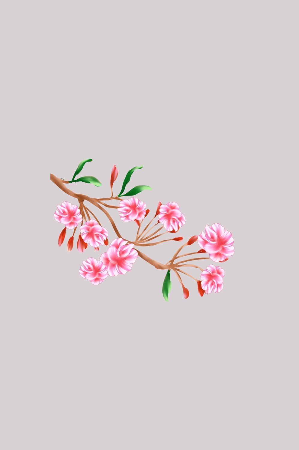 海棠花免抠元素装饰图案插画40