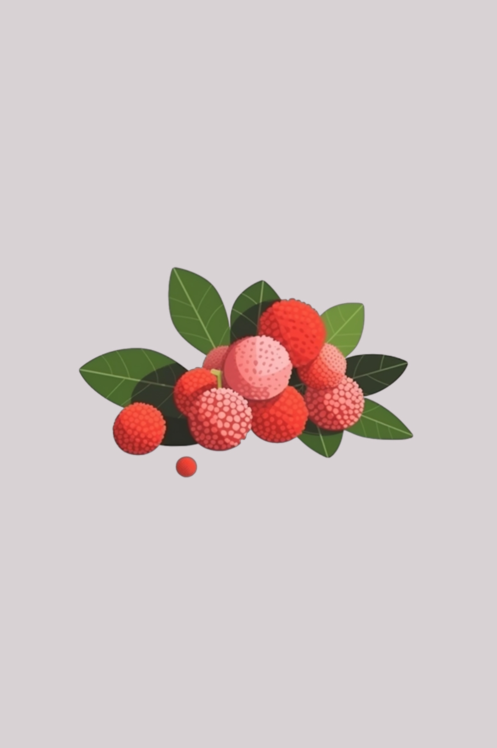 手绘荔枝图片素材装饰元素插画 png透明背景 (88)