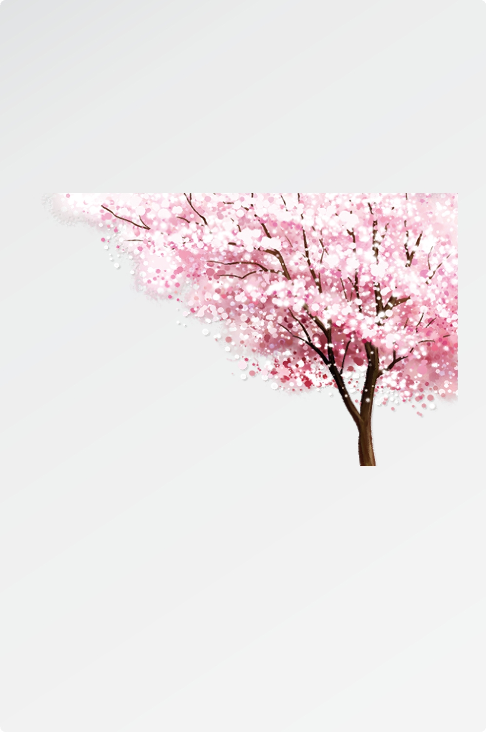 唯美樱花花树花枝樱花飘落图片装饰插图免抠61