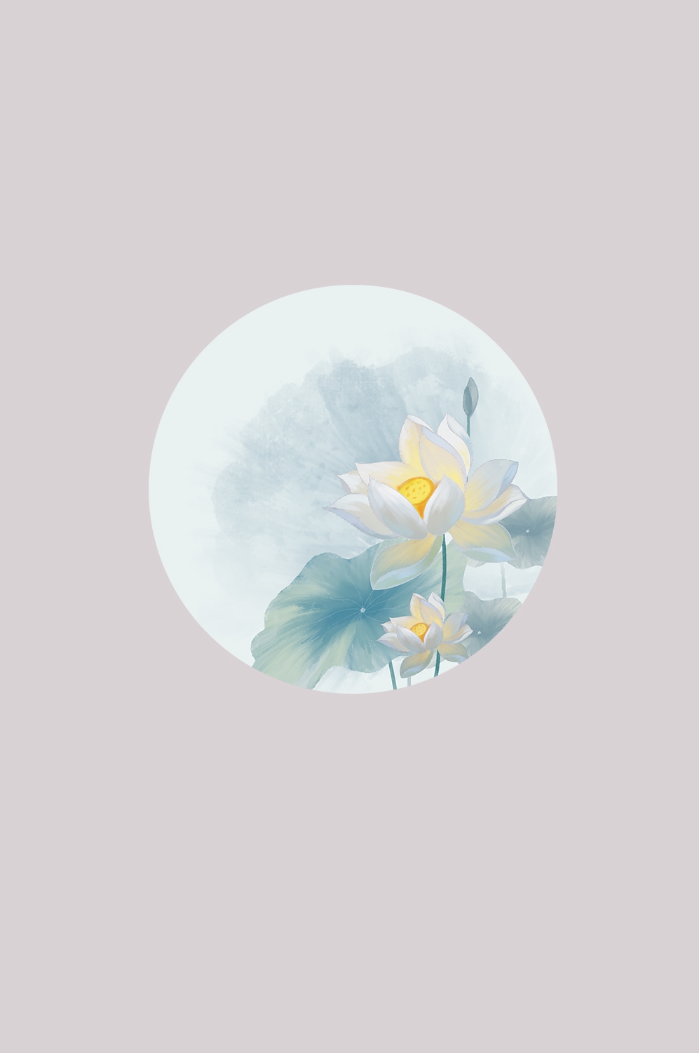 荷叶荷花素材插画装饰元素透明背景免抠素材37