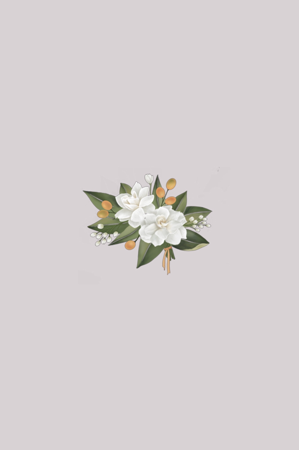 清新淡雅栀子花朵图片素材免抠元素46